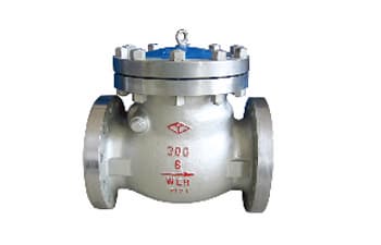 Cast Steel and Stainless Steel Check Valve